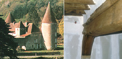 Château de Nobles, La Chapelle-Sous-Brancion (Saône-et-Loire) - Bourgogne