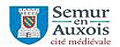 Ville de Semur-en-Auxois (21- Bourgogne) - Cité médiévale