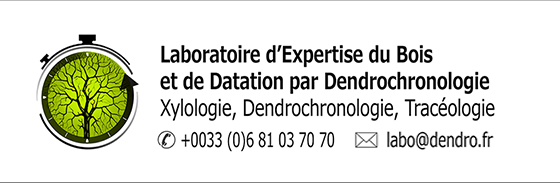 Laboratoire d'expertise du bois et de datation par dendrochronologie - Dendrochronology Consulting Etudes spécifiques menées en datation par dendrochronologie. Laboratoire d'expertise du bois et de datation par dendrochronologie - Dendrochronology Consulting. Dendrochronologie Consulting. Datation des bois par dendrochronologie appliquée aux patrimoine mobilier et objets d'art, patrimoine architectural, patrimoine archéologique : meubles, boiseries, menuiseries, stalles, panneaux peints, retables, sculptures, instruments de musique, charpentes, constructions à pan de bois, plafonds et planchers, lambris, escaliers, vestiges de construction, pieux de fondation, objets domestiques, bois lacustres, fondations, embarcations, dendrochronologie, dendrochronologique, dendrologie, dendrométrie, dendrotechnologie, dendrochronologue, méthode de datation, analyse bois, détermination anatomique, xylologie, identification végétale. La dendrochronologie (du grec dendron : arbre, chronos : temps et logos : science) étudie la croissance radiale des arbres. Elle est devenue, entre autres, une méthode de datation  précise et pertinente pour les essences dont la production saisonnière de bois varie sensiblement en fonction du climat. Les arbres d’un même genre végétal, vivant ou ayant vécu durant un même laps de temps et soumis à des conditions environnementales similaires, élaborent des séries de cernes empreintes de repères communs. Le principe de la dendrochronologie repose sur ce constat et c’est par comparaison que l’on établit ou non le synchronisme entre différentes séries, c’est-à-dire la contemporanéité entre les arbres. Le « support bois » dans l’objet d’art et l’œuvre mobilière renferme quantité d’informations qui méritent, elles aussi, d’être décryptées. La dendrochronologie permet de dater et d’authentifier les bois employés. Complémentaire, l’examen technologique et tracéologique révèle les savoir-faire qui ont présidé à la réalisation des œuvres. L’application de ces outils d’expertise au mobilier et œuvres d’art est une de nos spécificités. Des techniques, développées par notre laboratoire, permettent d’intervenir sur les œuvres in situ sans qu’aucun prélèvement de matière, dommageable à l’œuvre, ne soit pratiqué. Les sites archéologiques et les édifices historiques peuvent renfermer des volumes de bois considérables qui s’avèrent très souvent d’origine. L’étude de bois archéologiques ou architecturaux ne se limite pas seulement à l’obtention de datations grâce à la dendrochronologie. Elle permet lorsque l’on s’attache à l’analyse des caractéristiques xylologiques des bois, des assemblages, des aspects dimensionnels, des traces de débitage et de façonnage, de restituer les pratiques de mise en œuvre des arbres, de la forêt au chantier, et de la réalisation des ouvrages. Elle apporte également de pertinents éléments de réponses quant aux questions d’approvisionnement en bois d'œuvre, de gestion forestière, d’organisation des chantiers… Discipline archéologique, la tracéologie classe et étudie les différents types d’empreintes ou de marques encore visibles sur les matières travaillées. La dendrochronologie et la tracéologie tendent, par l’observation de ces traces, à identifier les outils utilisés, à restituer les différentes étapes de fabrication et les savoir-faire employés. Par l’examen des marques d’usures et d’utilisation, elle permet également de déterminer la durée de l’emploi des outils et la manière dont ils étaient utilisés.