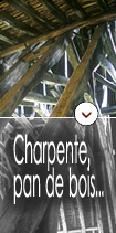 Dendrochronologie, études spécifiques : charpente, construction à pan de bois, structure porteuse, édifices divers ...