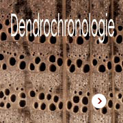 La dendrochronologie : Méthodes et applications. La dendrochronologie (du grec dendron : arbre, chronos : temps et logos : science) étudie la croissance radiale des arbres (dendrométrie). La dendrochronologie est devenue, entre autres, une méthode de datation  précise et pertinente pour les essences dont la production saisonnière de bois varie sensiblement en fonction du climat. Les arbres d’un même genre végétal, vivant ou ayant vécu durant un même laps de temps et soumis à des conditions environnementales similaires, élaborent des séries de cernes empreintes de repères communs. Le principe de la dendrochronologie repose sur ce constat et c’est par comparaison que l’on établit ou non le synchronisme entre différentes séries, c’est-à-dire la contemporanéité entre les arbres. Laboratoire d'expertise du bois et de datation par dendrochronologie - Dendrochronology Consulting (Dendrochronologie Consulting). Datation des bois par dendrochronologie appliquée aux patrimoine mobilier et objets d'art, patrimoine architectural, patrimoine archéologique : meubles, boiseries, menuiseries, stalles, panneaux peints, retables, sculptures, instruments de musique, charpentes, constructions à pan de bois, plafonds et planchers, lambris, escaliers, vestiges de construction, pieux de fondation, objets domestiques, bois lacustres, fondations, embarcations, dendrochronologie, dendrochronologique, dendrologie, dendrométrie, dendrotechnologie, dendrochronologue, méthode de datation, analyse bois, détermination anatomique, xylologie, identification végétale.