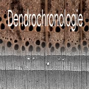 La dendrochronologie : Méthodes et applications. La dendrochronologie (du grec dendron : arbre, chronos : temps et logos : science) étudie la croissance radiale des arbres. La dendrochronologie est devenue, entre autres, une méthode de datation  précise et pertinente pour les essences dont la production saisonnière de bois varie sensiblement en fonction du climat. Les arbres d’un même genre végétal, vivant ou ayant vécu durant un même laps de temps et soumis à des conditions environnementales similaires, élaborent des séries de cernes empreintes de repères communs (dendrométrie). Le principe de la dendrochronologie repose sur ce constat et c’est par comparaison que l’on établit ou non le synchronisme entre différentes séries, c’est-à-dire la contemporanéité entre les arbres. Laboratoire d'expertise du bois et de datation par dendrochronologie - Dendrochronology Consulting (Dendrochronologie Consulting). Datation des bois par dendrochronologie appliquée aux patrimoine mobilier et objets d'art, patrimoine architectural, patrimoine archéologique : meubles, boiseries, menuiseries, stalles, panneaux peints, retables, sculptures, instruments de musique, charpentes, constructions à pan de bois, plafonds et planchers, lambris, escaliers, vestiges de construction, pieux de fondation, objets domestiques, bois lacustres, fondations, embarcations, dendrochronologie, dendrochronologique, dendrologie, dendrométrie, dendrotechnologie, dendrochronologue, méthode de datation, analyse bois, détermination anatomique, xylologie, taxon, dentification végétale.