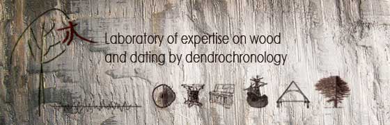 Home Page - Laboratory of expertise on wood and dating by dendrochronology - Dendrochronology Consulting