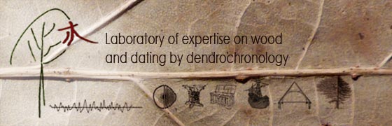 Home Page - Laboratory of expertise on wood and dating by dendrochronology - Dendrochronology Consulting