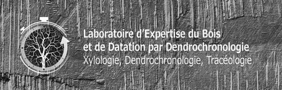 Laboratoire d'expertise du bois et de datation par dendrochronologie. Domaines d’intervention et applications : patrimoine mobilier et objets d'art, patrimoine architectural et archéologique.