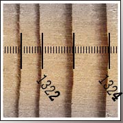 Principe de la mesure de la largeur des cernes de croissance (1/100 mm) - Datation par dendrochronologie. Les clichés numériques font l'objet de multiples mesures de manière à restituer le profil dendrochronologique, appelé aussi "série individuelle" des bois étudiés. La mesure des bois se fait grâce à un logiciel de saisie d'images numériques développé et mis au point spécifiquement pour mesurer la largeur des cernes de croissance depuis un ordinateur portable. Logiciel Mensor développé et mis au point par S. Meignier et D. Pousset en 2003 (Mensor).