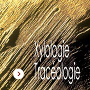 Xylologie / Tracéologie : Discipline archéologique, la tracéologie classe et étudie les différents types d’empreintes ou de marques encore visibles sur les matières travaillées. Elle tend, par l’observation de ces traces, à identifier les outils utilisés, à restituer les différentes étapes de fabrication et les savoir-faire employés. Par l’examen des marques d’usures et d’utilisation, elle permet également de déterminer la durée de l’emploi des outils et la manière dont ils étaient utilisés. Détermination xylologique, identification anatomique, identification genre végétal, dendrologie, dendrochronologie, dendrométrie, archéométrie, chronologie, outils complémentaires de la dendrochronologie